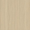 WPC-Basic-Light-Wood-2 WPC Płyta Węglowa Light Wood Mat 280x110