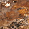Kam'yanyy shpon Indian Autumn 122x61x0,2 sm Prozoriy
