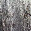 Кам'яний шпон Ocean Black 122x61x0,2 см