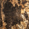 5197 Кам'яний шпон Autumn Rustic 122x244x0,2 см Прозорий