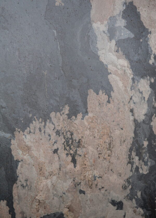 5199 Кам'яний шпон Autumn Rustic 122x244x0,2 см Прозорий