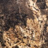 5200 Кам'яний шпон Autumn Rustic 122x244x0,2 см Прозорий