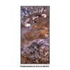 Obraz z Forniru Kamiennego Indian Autumn 120x60 cm